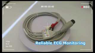 Goldway ECG Cable  Lead Snap A