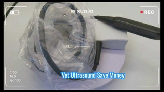 Mindray 75L50EAV Vet Ultrasound Probe