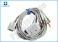 One Piece Type Schiller ECG Cable 10 Lead With Banana 4.0 Plug TPU Cable